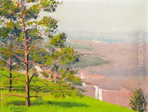 Paisaje Rural Oil Painting by Jose Cubas Martin