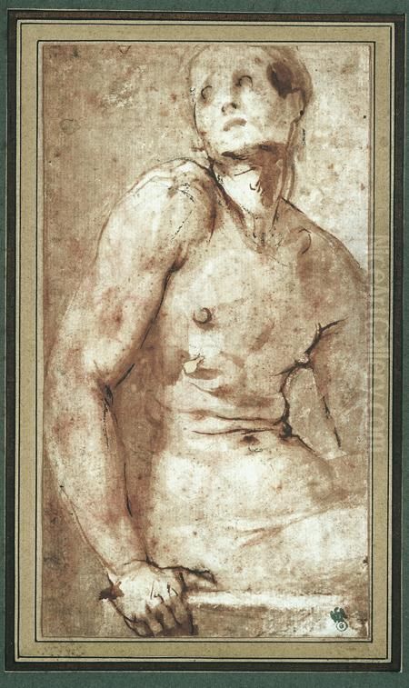 Etude D'homme Nu, Vu De Trois-quarts Oil Painting by (Jacopo Carucci) Pontormo