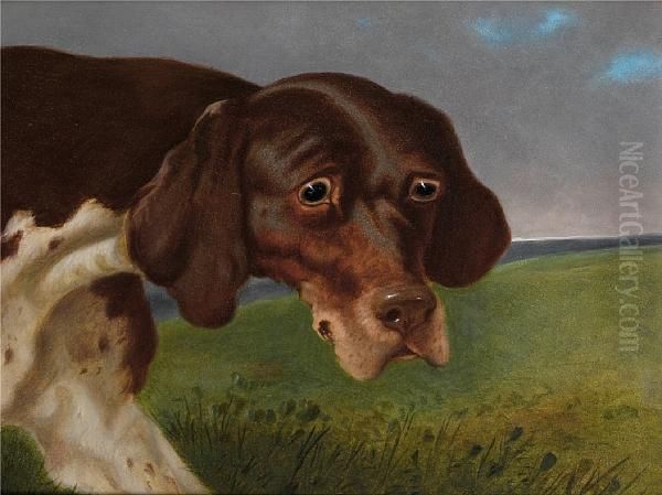 A Portrait Of A Brown And White Pointer; A Portrait Of A Black And White Pointer Oil Painting by John Dalby