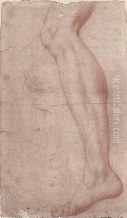 Study Of A Leg Oil Painting by Ottaviano Dandini