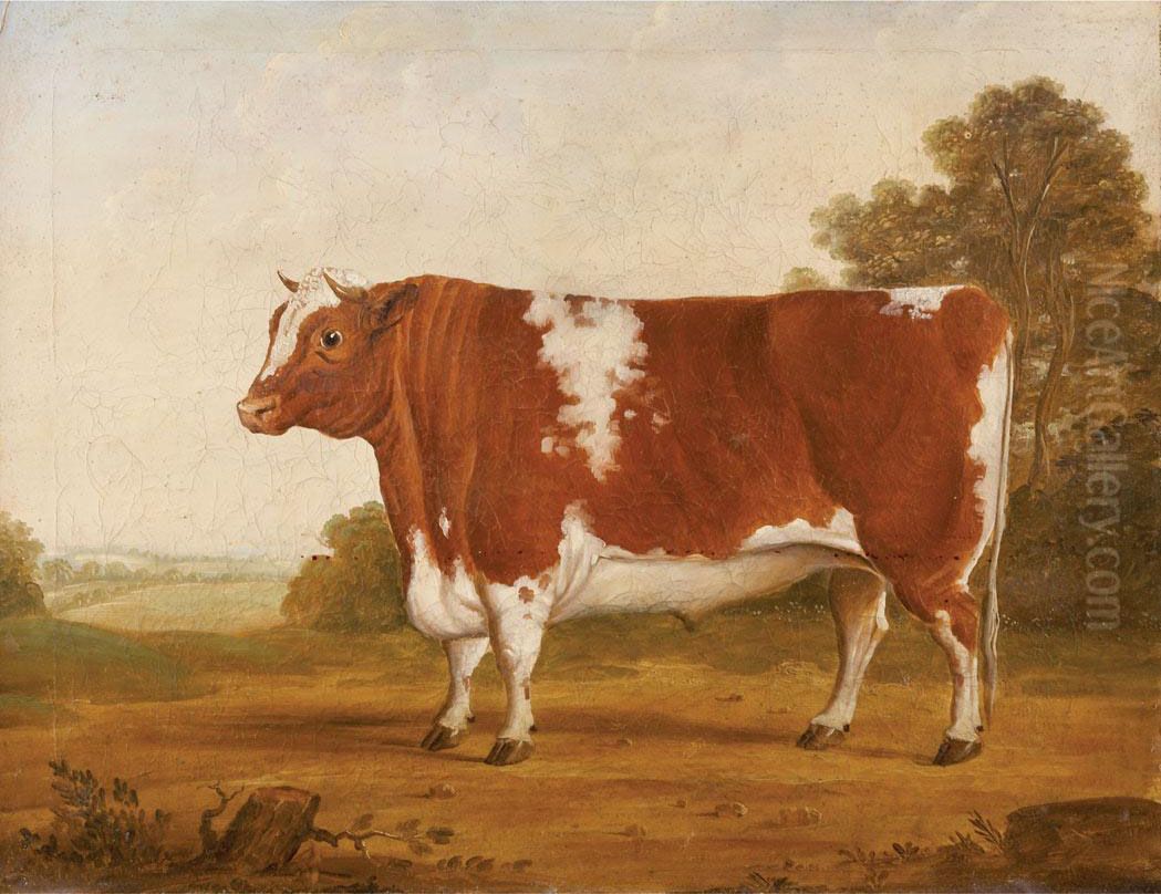 Hereford Bull Oil Painting by William Henry Davis