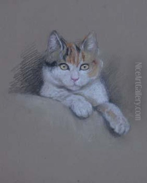 Four Cat Studies Oil Painting by Lucy Dawson