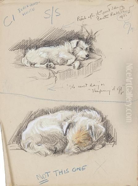 'the Next Day' Or 'sleeping It Off' - Awire-haired Terrier Oil Painting by Lucy Dawson