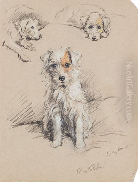 'patch' - A Wire-haired Terrier Oil Painting by Lucy Dawson