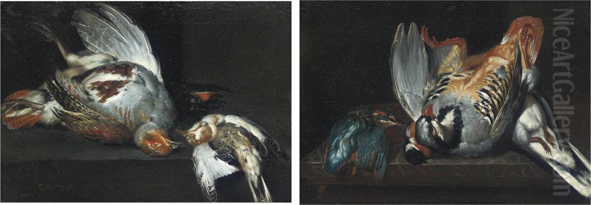 A Pigeon, A Bullfinch Oil Painting by Ferdinand Phillip de Hamilton