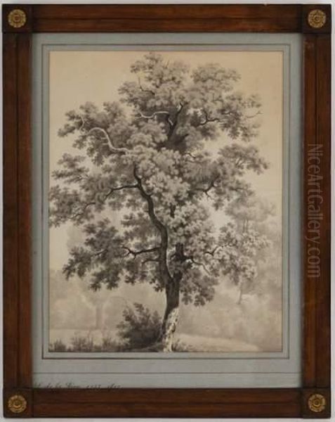 Arbre Dans Un Paysage Oil Painting by Pierre Louis De La Rive