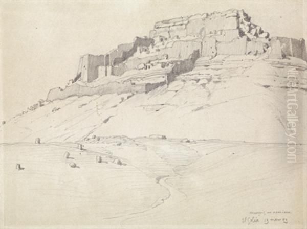 Vue D'el-golea Oil Painting by Francois Marie De Marliave