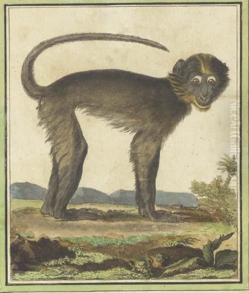 Die Saugthiere In Abbildungen Nach Der Natur Oil Painting by Jacques Eustache De Seve