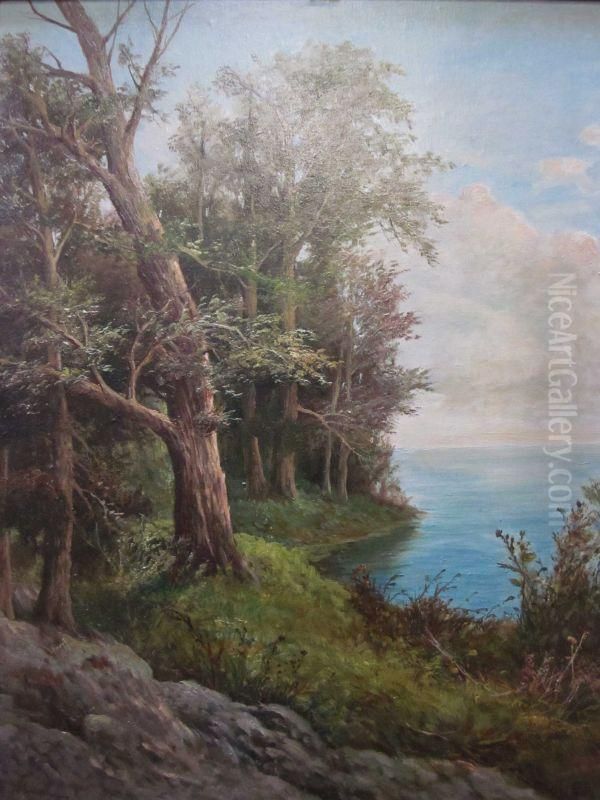 Landscape With A Lake Oil Painting by A. De Simone