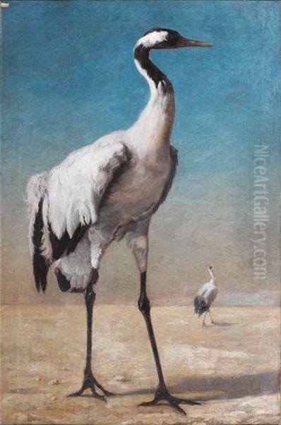 Grues Du Japon Dans Un Paysage Oil Painting by Charles Emile Vacher De Tournemine