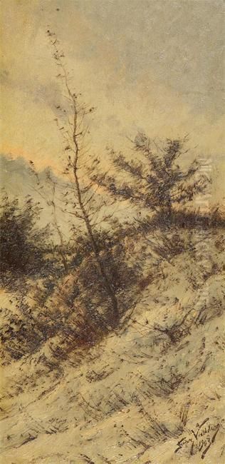 Dune View Oil Painting by Franz De Vadder