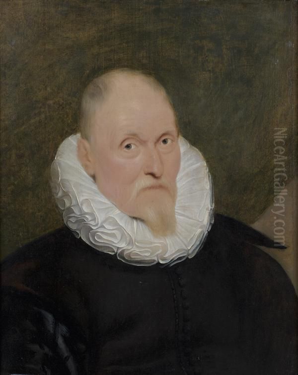 Portrait D'homme A La Fraise Oil Painting by Cornelis De Vos