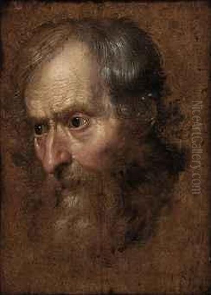 Study Of The Head Of A Man Oil Painting by Cornelis De Vos