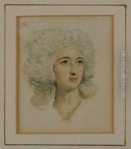 Portrait Of The Head Of A Lady Oil Painting by Samuel de Wilde