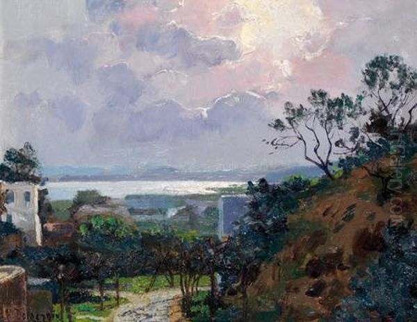 Vue De Sidi-bou Said Oil Painting by Andre Delacroix