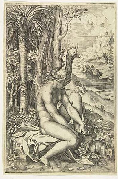 Venus Wounded By A Rose Thorn<</b&gt Oil Painting by Marco Dente Da Ravenna