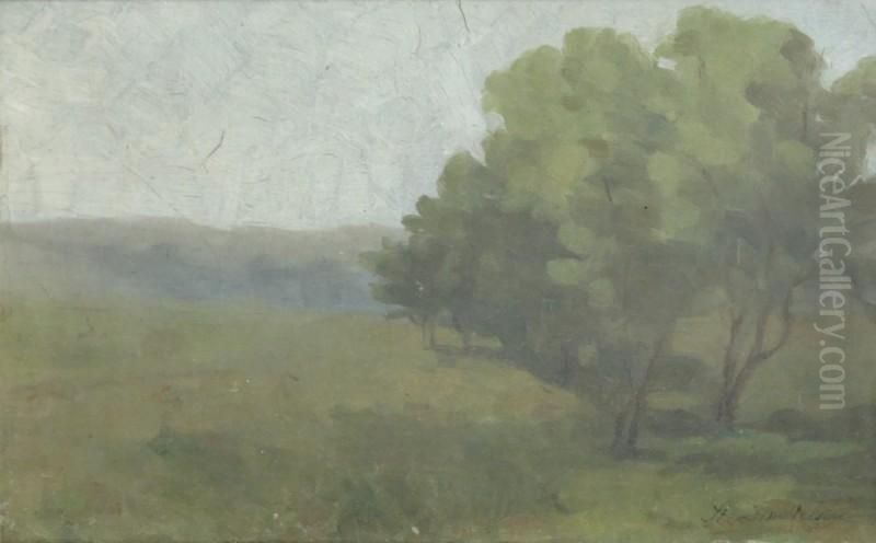 Peisaj Oil Painting by Stefan Dimitrescu