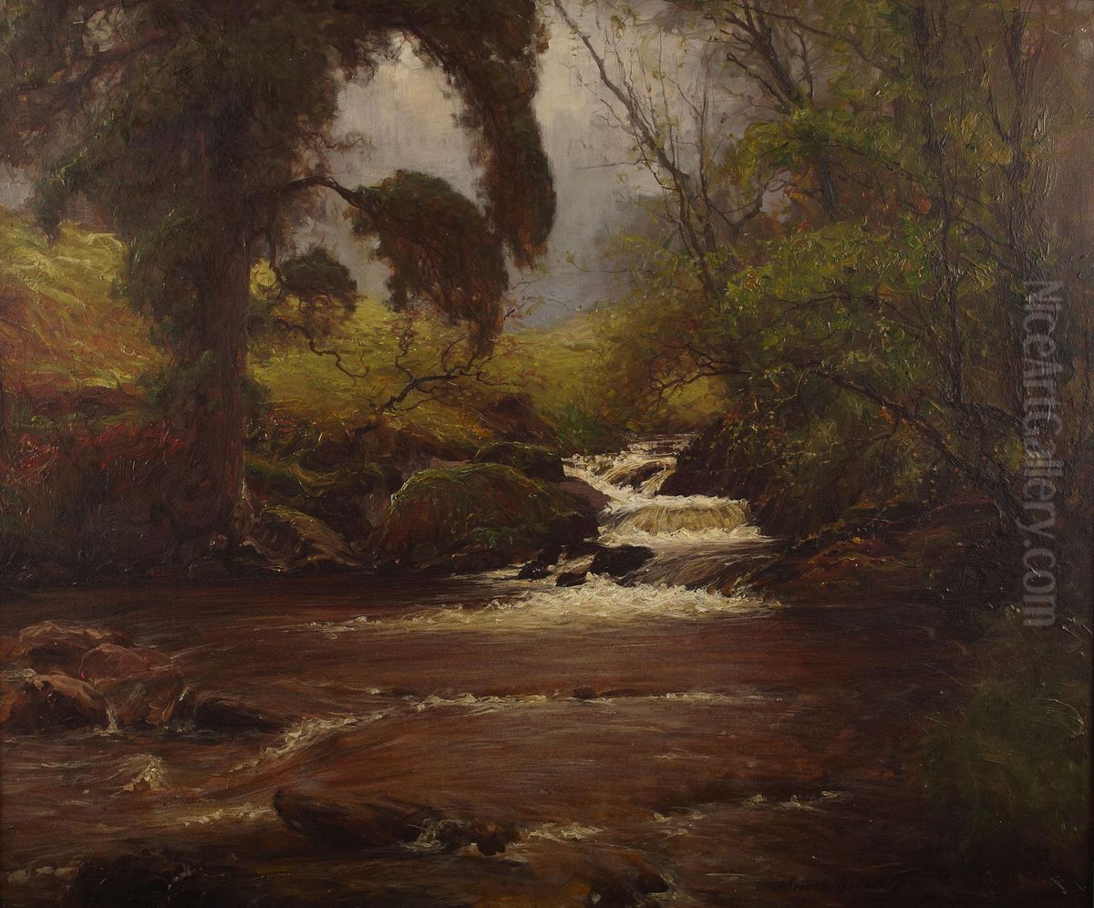 A Wooded Highland Stream Oil Painting by Alexander Brownlie Docharty