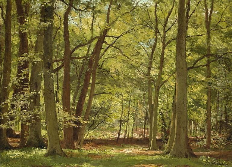 View Of A Forest Oil Painting by Johan Hendrik Doeleman