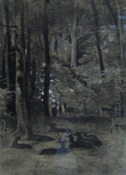 Cervides En Sous-bois Oil Painting by Gustave Dore