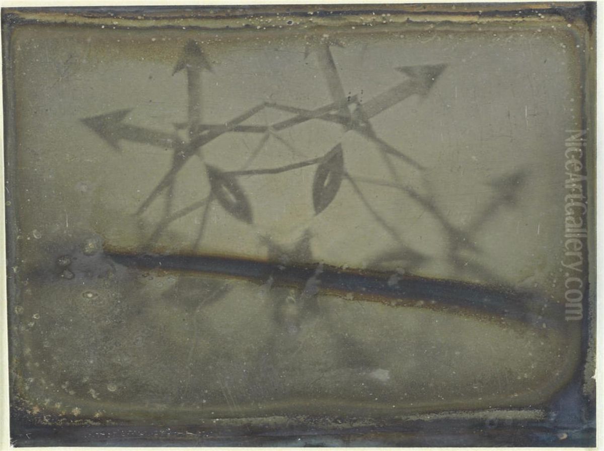 Study Of A Microscope Slide Oil Painting by Henry Draper