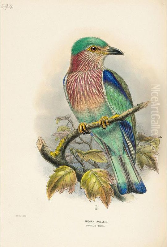 History Of The Birds Of Europe Oil Painting by Henry Eeles Dresser