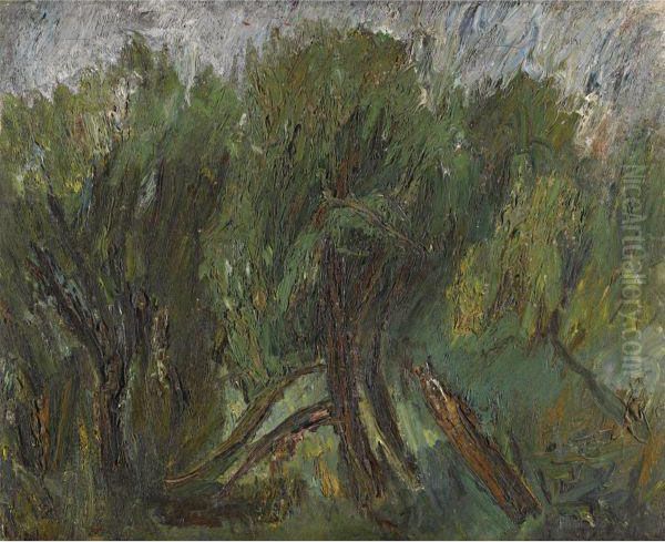 Willows. Altai Oil Painting by Alexander Drevin
