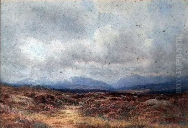 Scottish Moorland Scene With Sheep Oil Painting by George, Captain Drummond-Fish