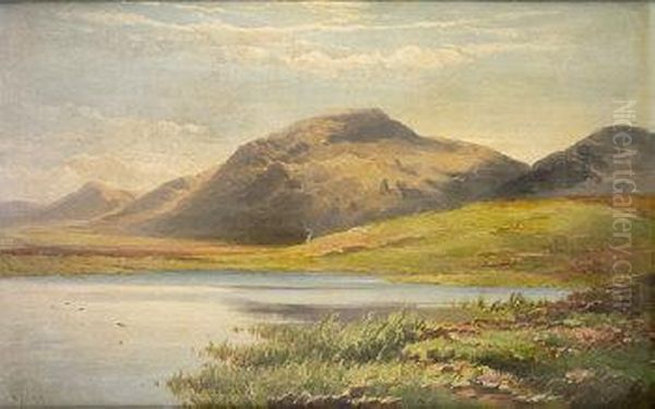 Lake Scene Connemara (1883) Oil Painting by Patrick Vincent Duffy