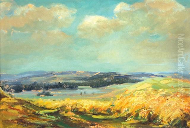 Jizni Krajina Oil Painting by Bohuslav Dvorak