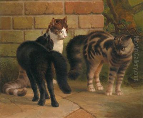 Katzen Oil Painting by Percy Earl