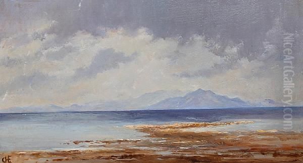 New Zealand View Oil Painting by Charles Herbert Eastlake