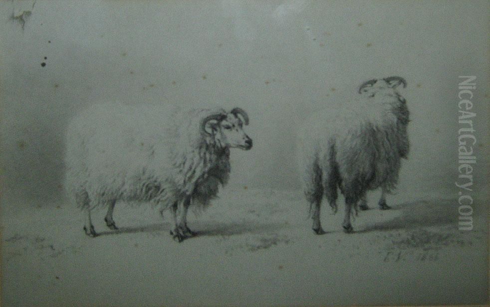 Deux Moutons Anglais Oil Painting by Eugene Verboeckhoven