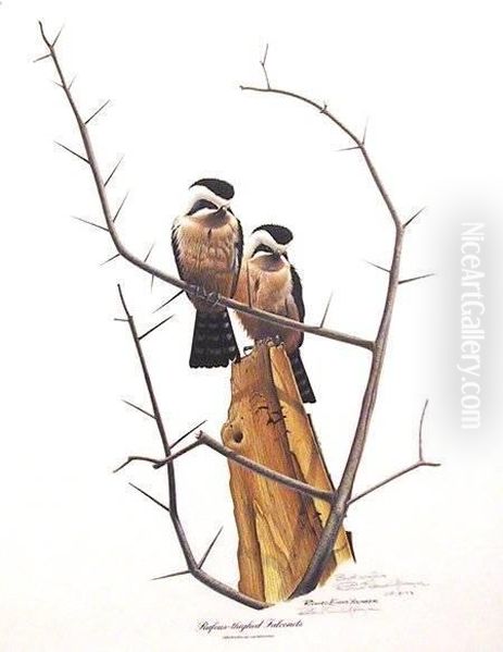 Falconets Oil Painting by Evans, Richard