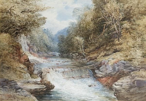 The Salmon Leap Oil Painting by Samuel Thomas George Evans, R.W.S.