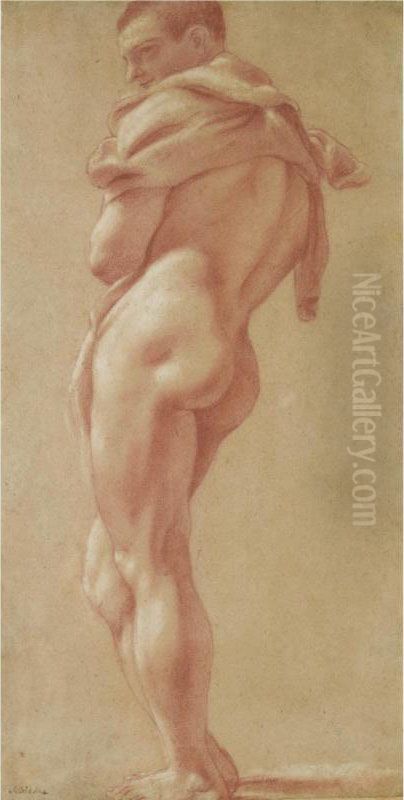 Standing Male Nude Seen From Behind Oil Painting by Pietro Faccini
