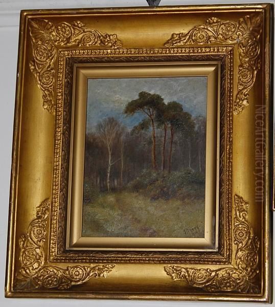 At The Edge Of A Copse Oil Painting by J. Ferry