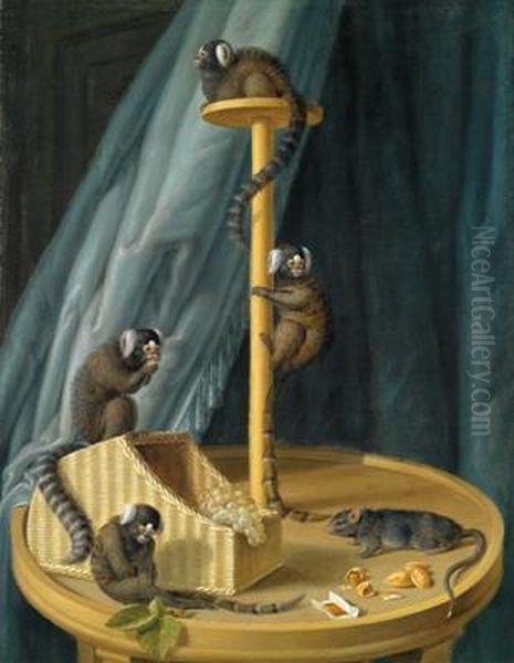 Natura Morta Con Uistiti Oil Painting by Dietrich Findorff