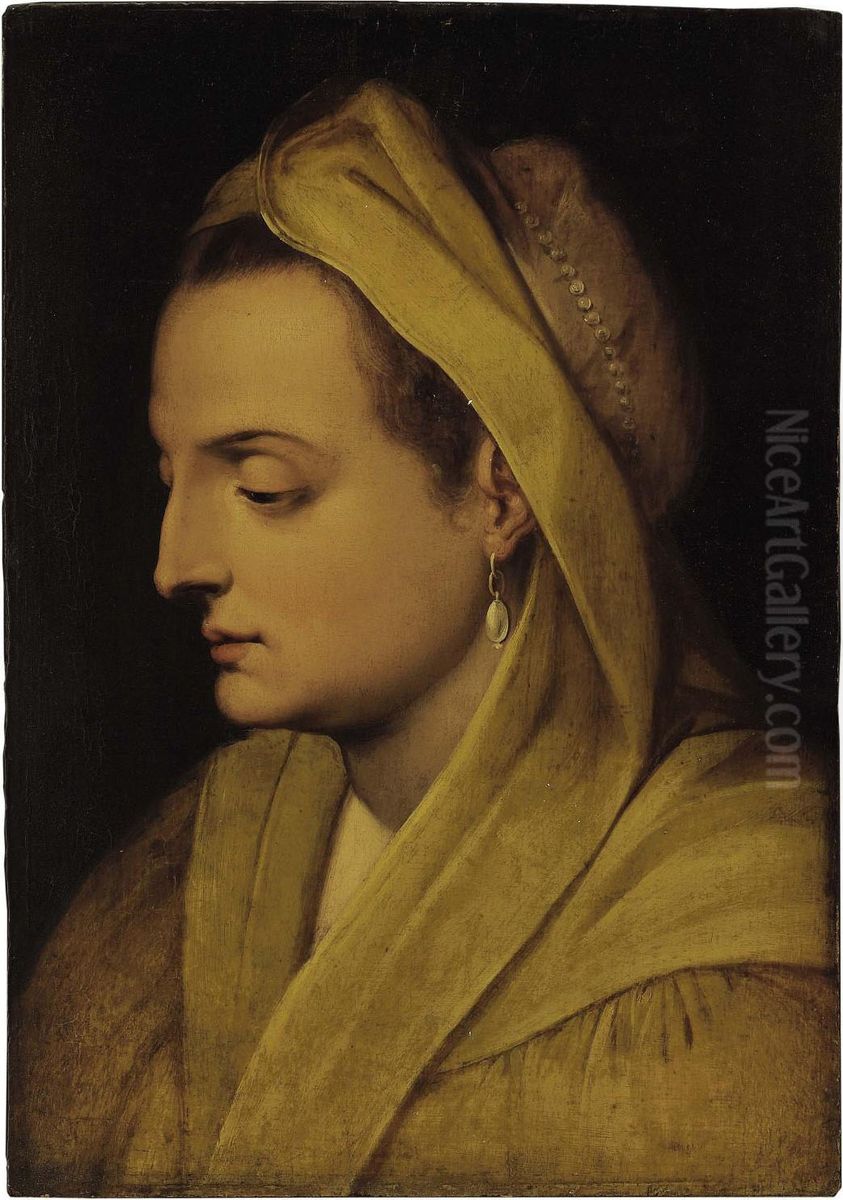 A Head Of A Woman With A Pearl Earring Oil Painting by Frans Floris