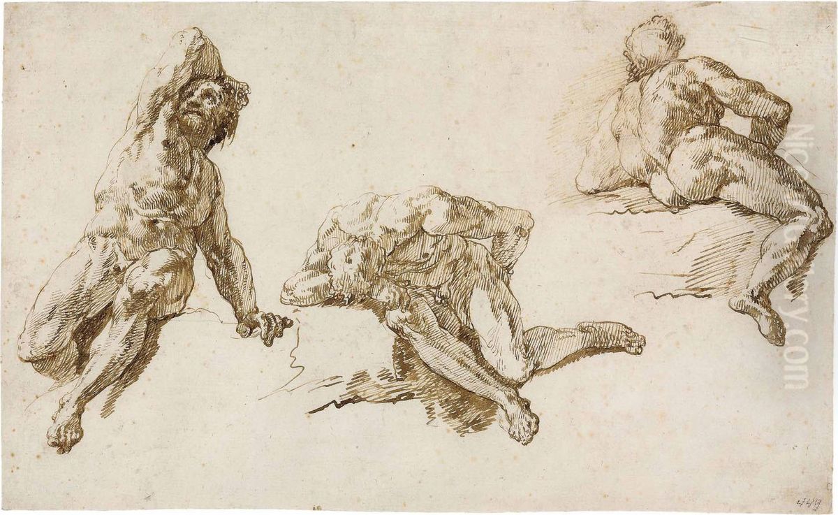 Three Studies Of A Male Nude Oil Painting by Francesco Fontebasso