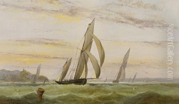 A Racing Ketch And Other Yachts Off Norris Castle, East Cowes, Isle Of Wight Oil Painting by Arthur Wellington Fowles