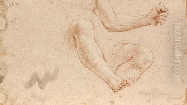 Etude De Bras Et De Jambe Pour La Figure De Neptune Oil Painting by Marcantonio Franceschini)