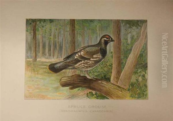 Birds Oil Painting by Louis Agassiz Fuertes