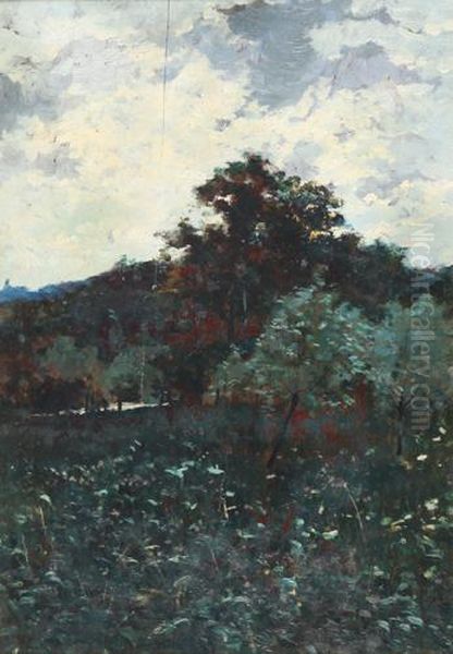 Palude Del Po Oil Painting by Eugenio Gays