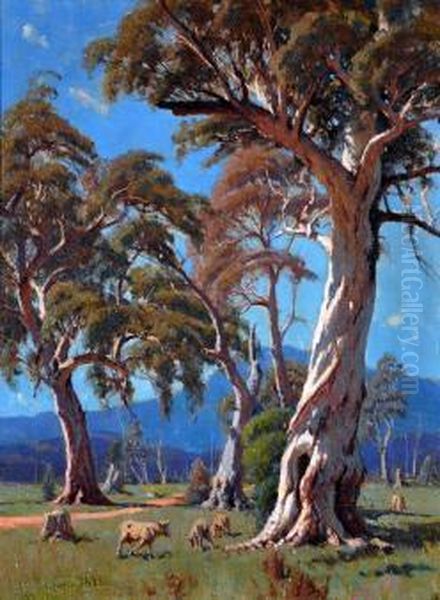 sunlit Gums, Macedon Oil Painting by Robert Edgar Taylor Ghee