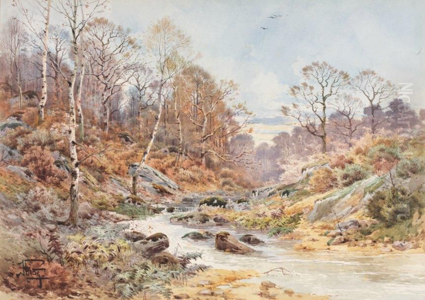 Torrent Pres Des Bouleaux Oil Painting by Theophile (Francois Theophile Etienne) Gide