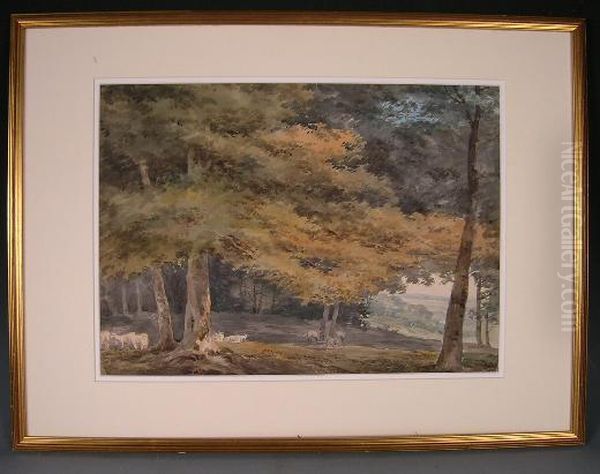 Sheep Grazing In Parkland Oil Painting by William Sawrey Gilpin