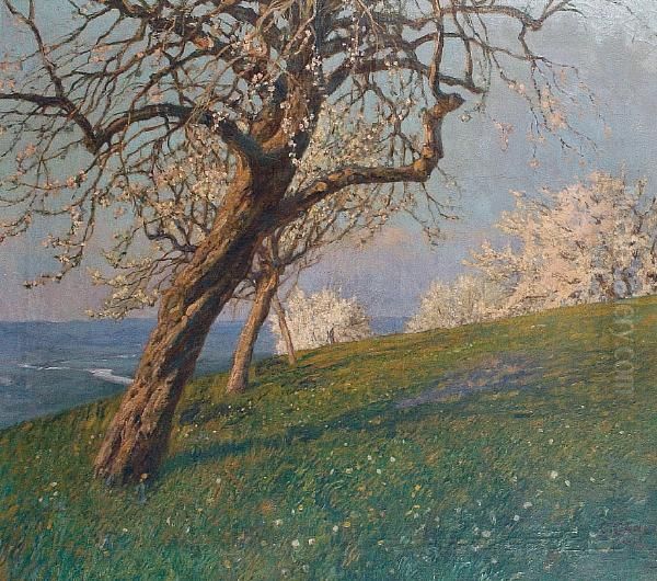 A Hillside View With Trees In Full Bloom Oil Painting by Carl Godel