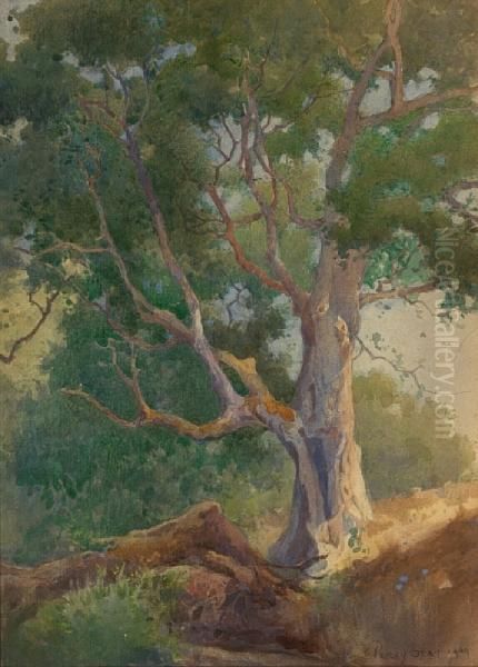 Old Oak Tree Oil Painting by Percy Gray