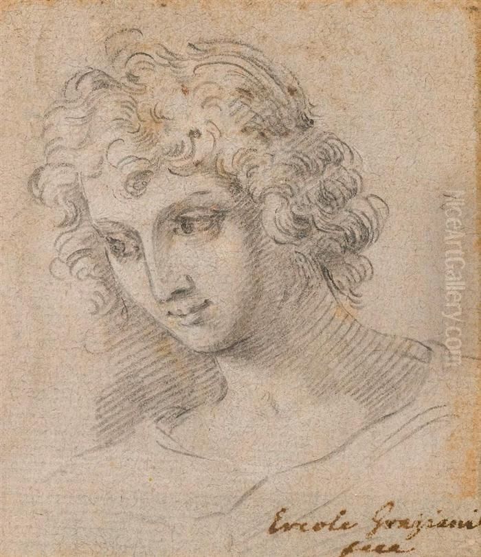 Head Study Of A Young Man With Curly Hair. Oil Painting by Ercole Graziani